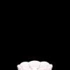 Holmegaard Desserttallerkner Og Asjetter|Servise*Lily Isasjett Ø16 cm cherry blossom 2 stk.