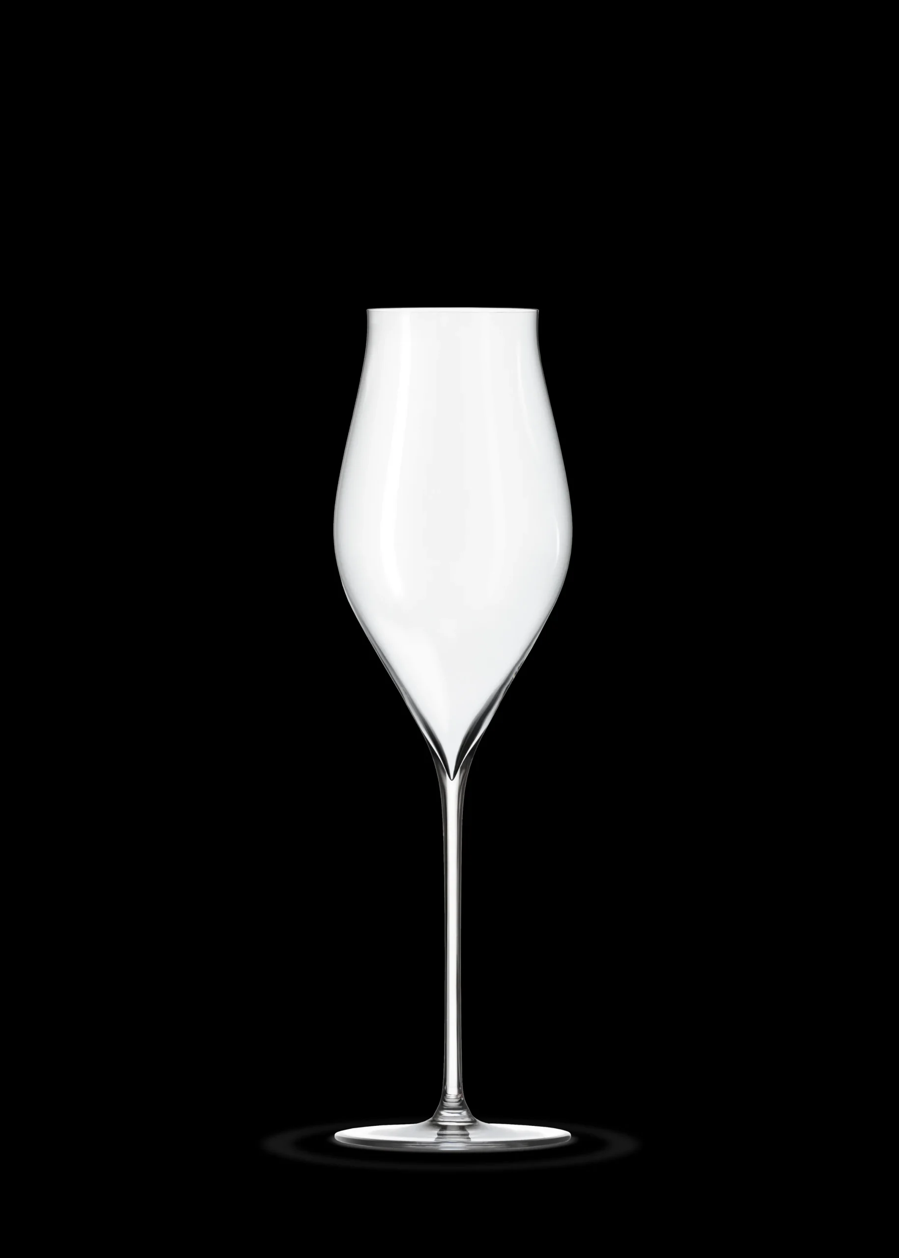 Holmegaard Nyheter|Champagneglass*Notes Champagneglass 38 cl klar 2 stk.